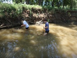 Howe Science Teachers Participate in Local Fish Collection